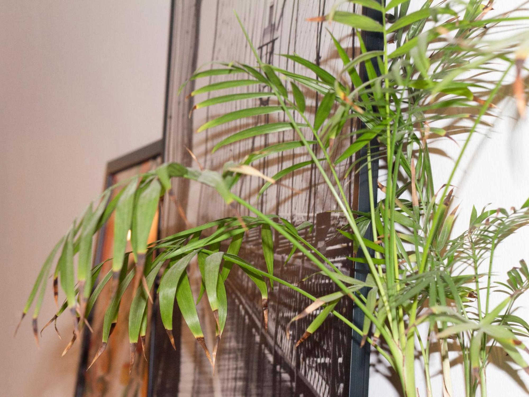 Zanardelli Bright Flat Apartamento Florença